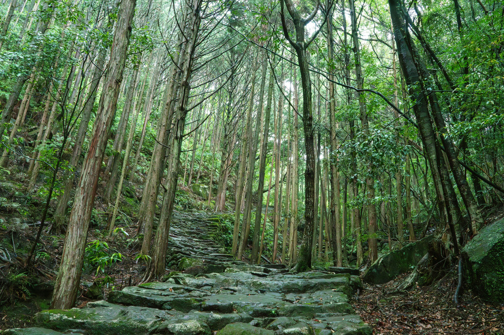 エアリー撮影熊野市伊勢路松木峠