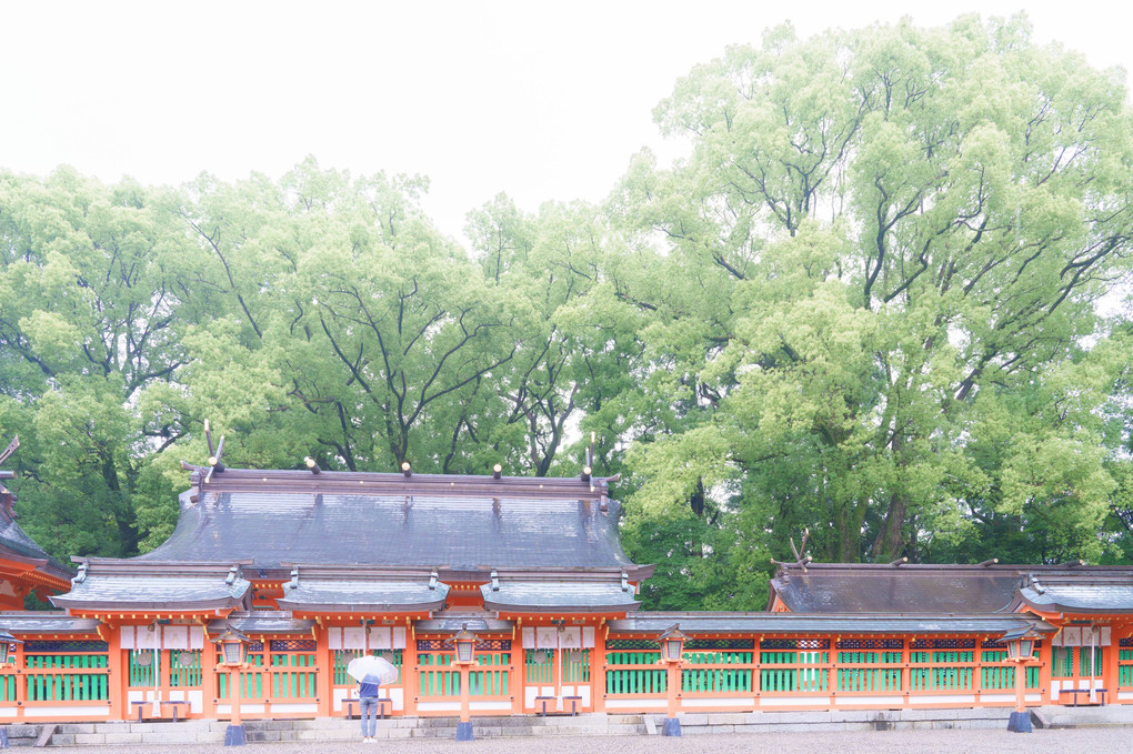 エアリー撮影新宮市内熊野速玉神社など