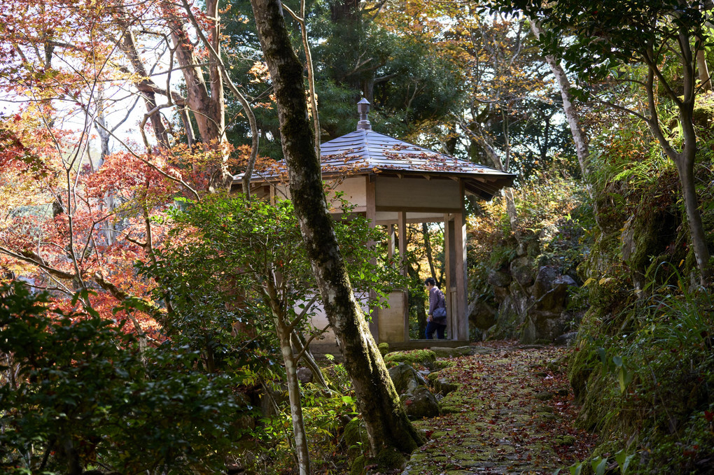 山陰の小京都・堀庭園の秋