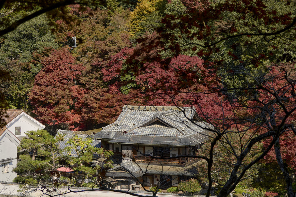 山陰の小京都・堀庭園の秋