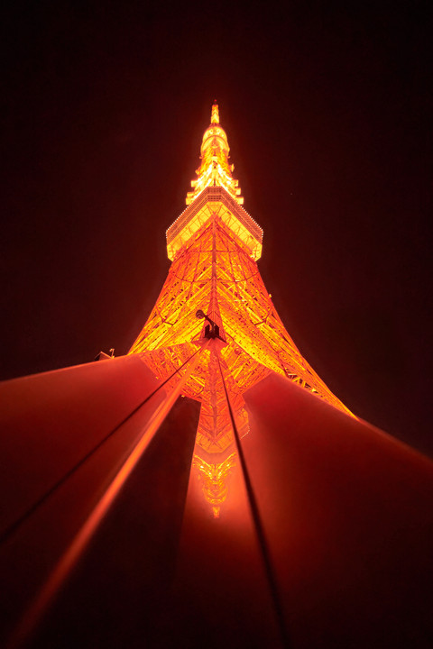 Closest Reflection of Tokyo Tower