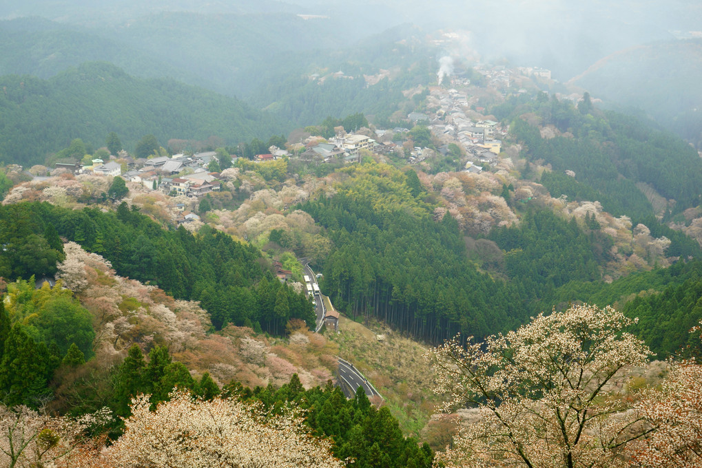 花矢倉展望台からの千本桜