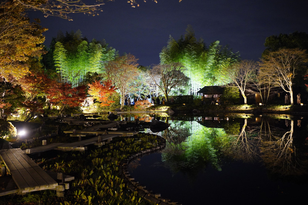昭和記念公園ライトアップ