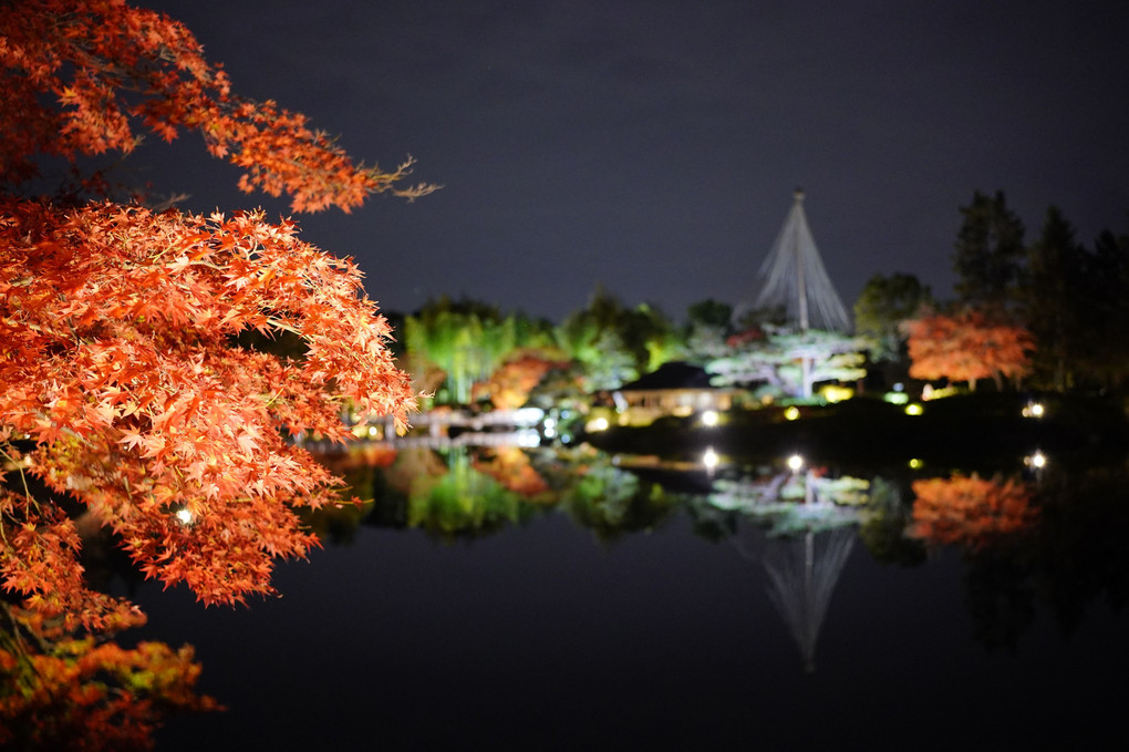 昭和記念公園ライトアップ