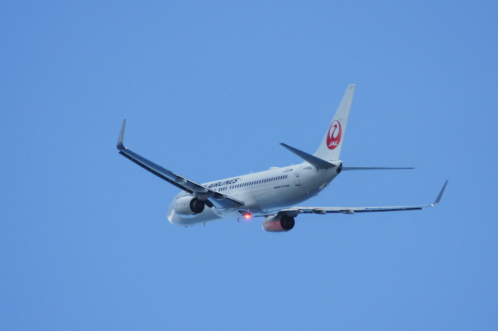 日本航空 BOEING 737-800　JA348J