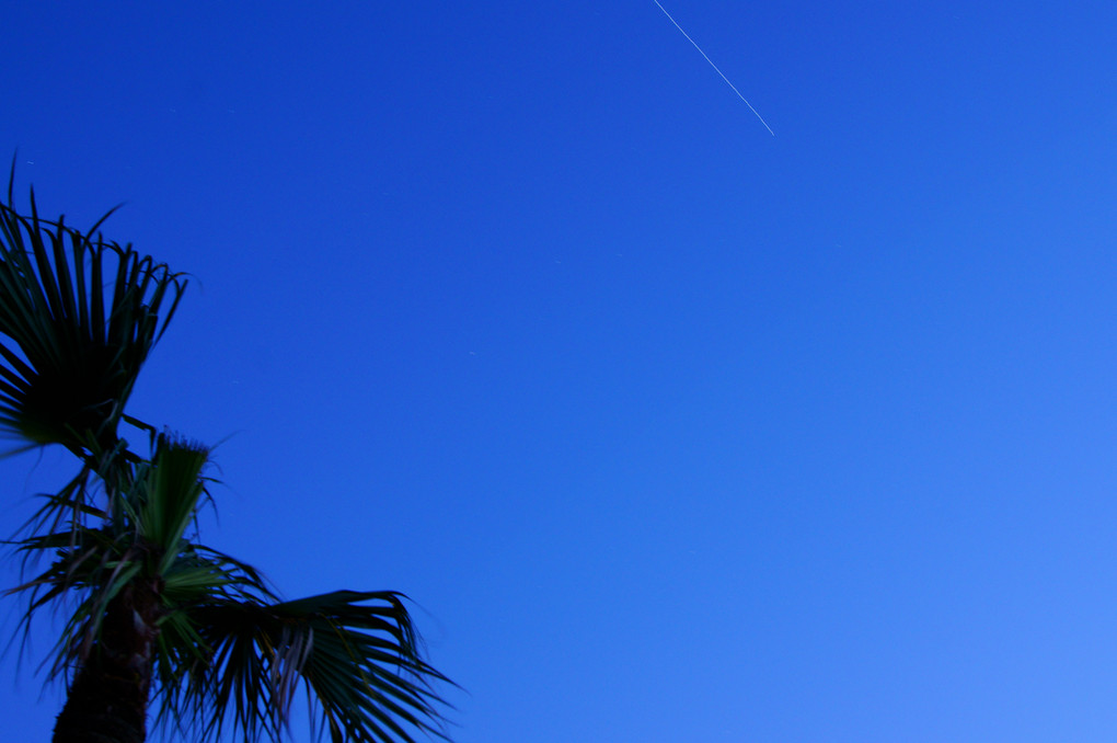 Blue Sky（夕景）