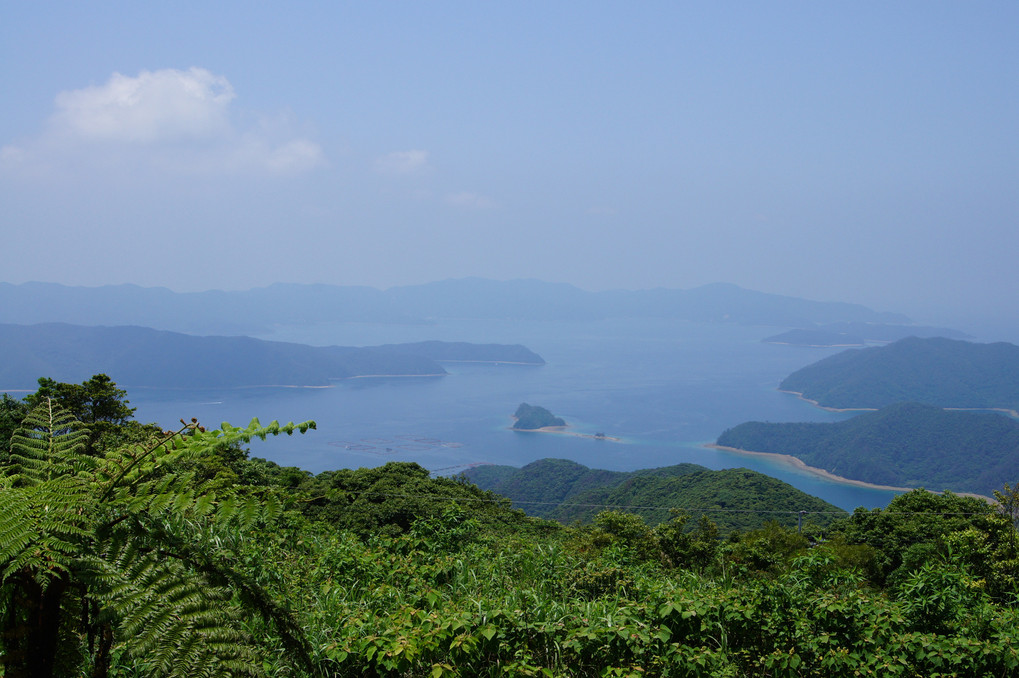 油井岳展望台より大島海峡を望む