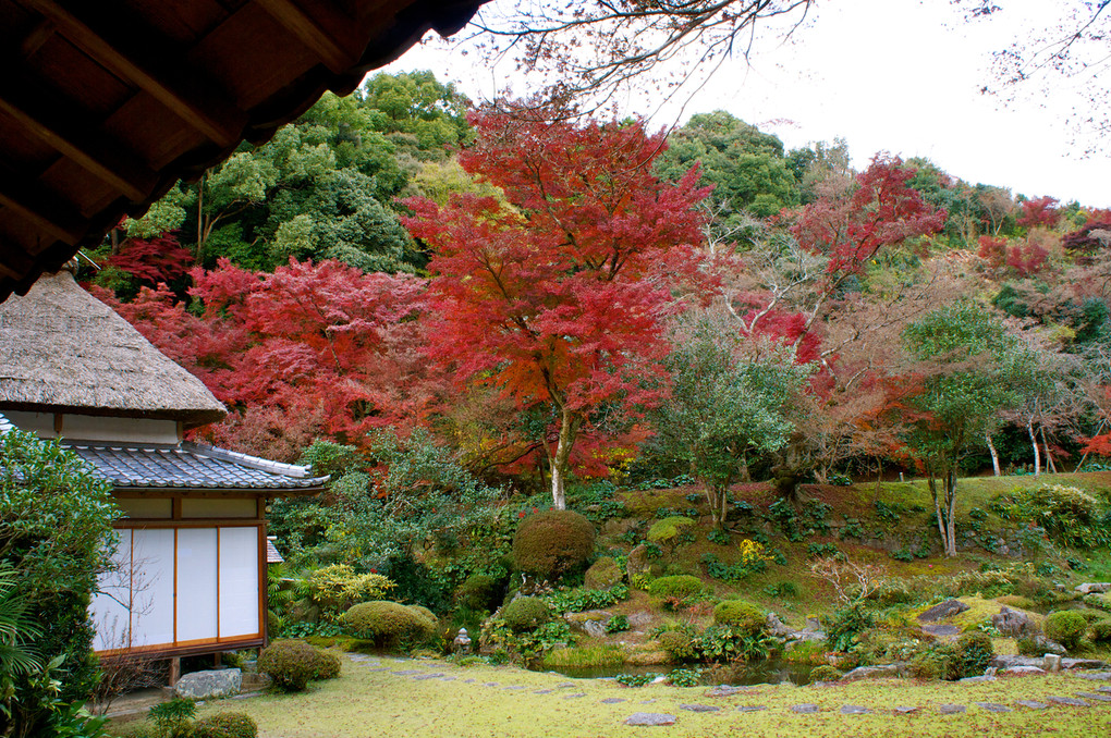 秋の本坊庭園と清水寺