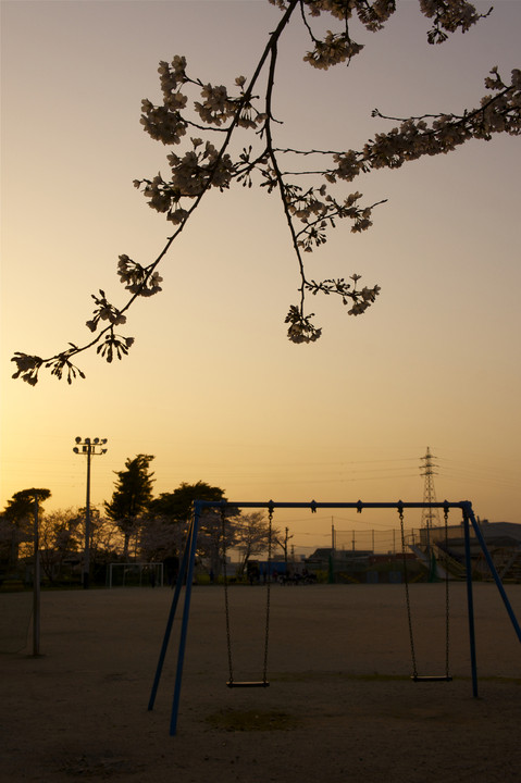 夕焼けブランコ　spring