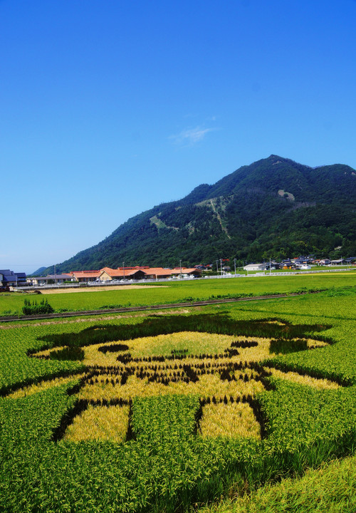 島根県の快進撃！