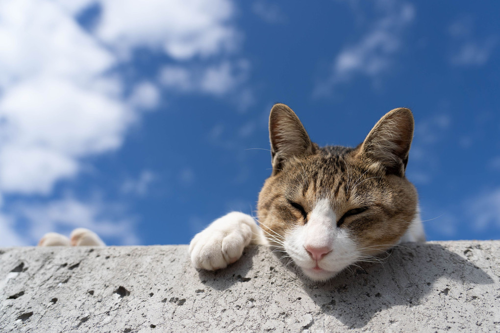 青空