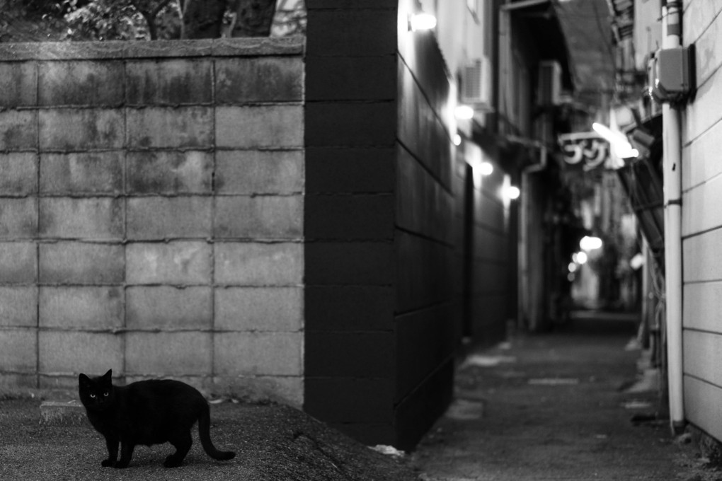 黒猫の路地