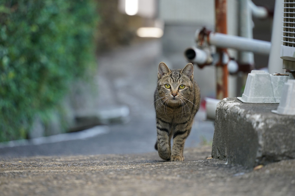 すり抜けられた！