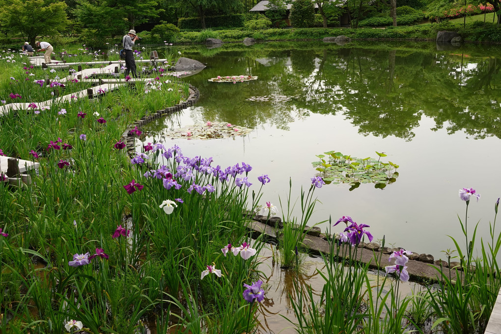 日本庭園