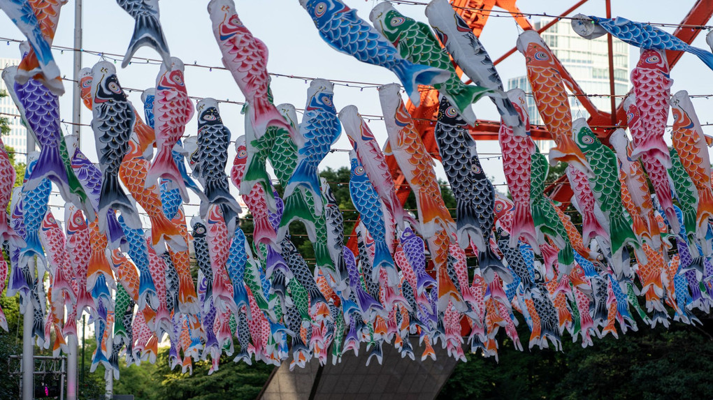 東京のシンボルと 鯉のぼり
