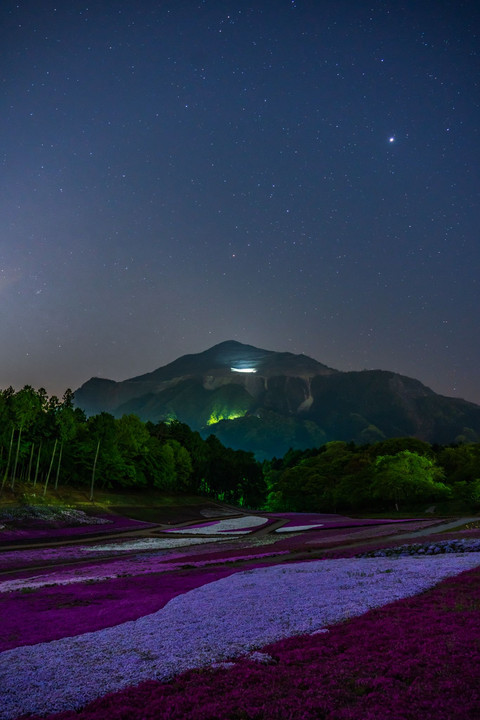 春の武甲山