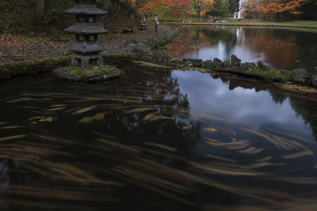 紅桜公園