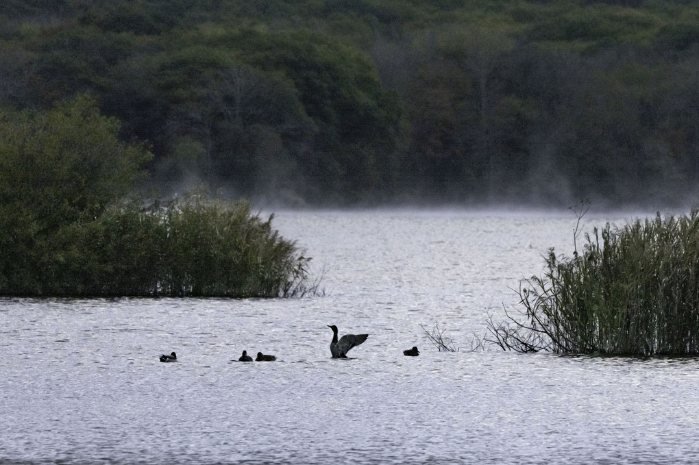 α7Cシリーズで各地を撮影しよう 井上浩輝プロ 北海道 大沼国定公園に参加しました。