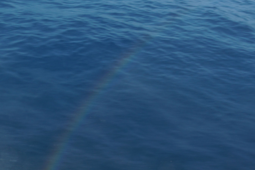 海面に現れた虹