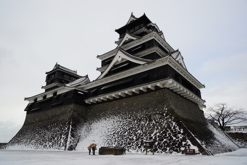 冬の熊本城・・・と遊ぶ人