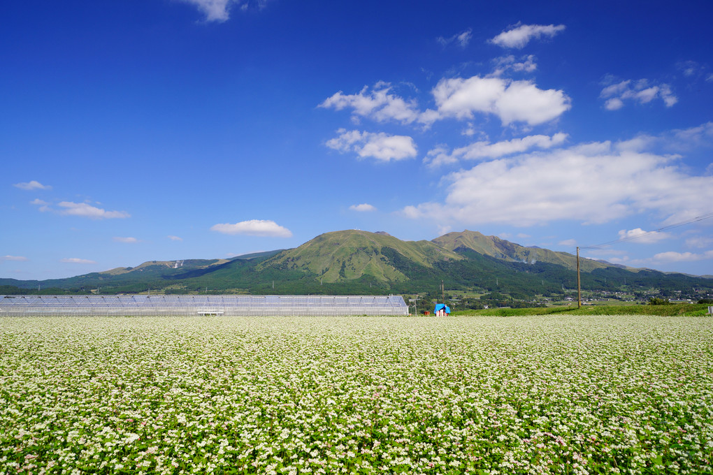 阿蘇の風景