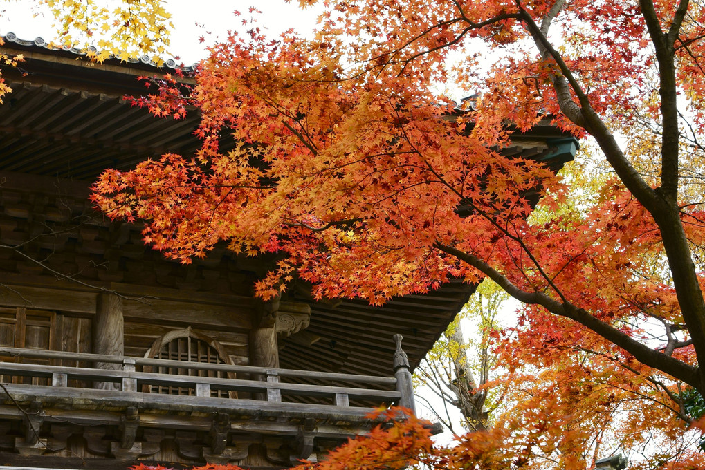 永源寺山門