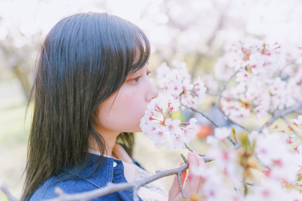 桜の香りにふれたら