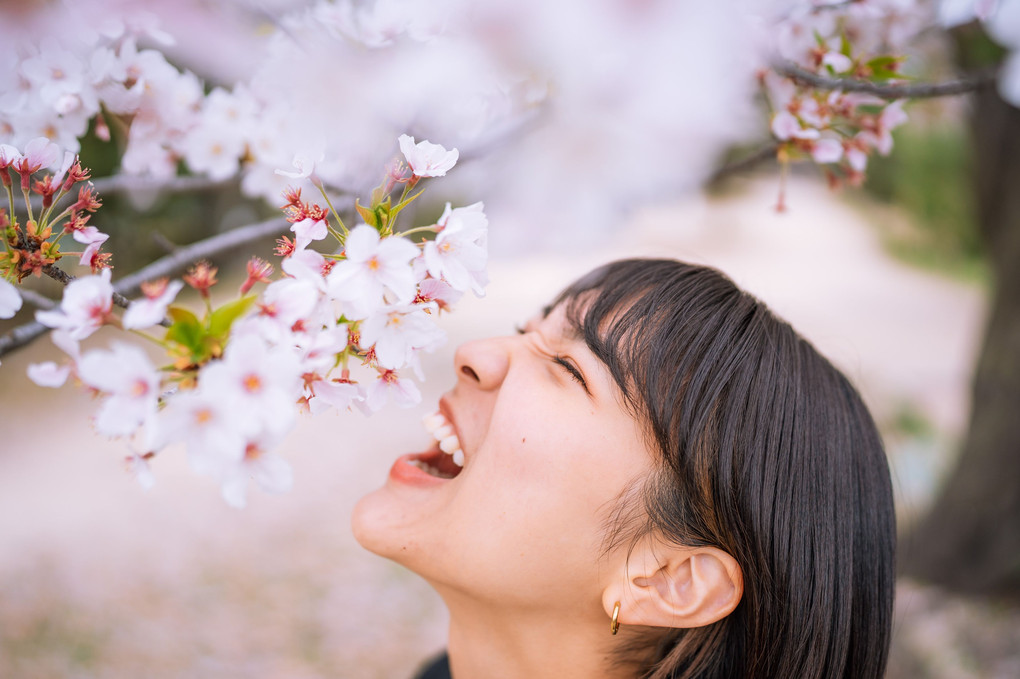 桜 食べる
