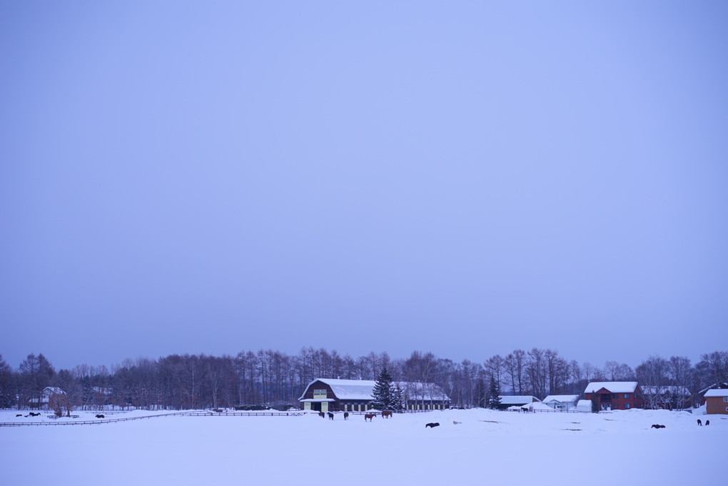 牧場の冬