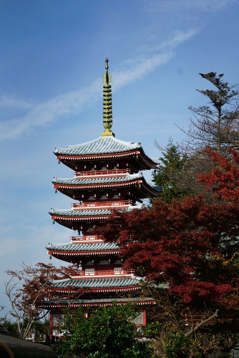 本土寺