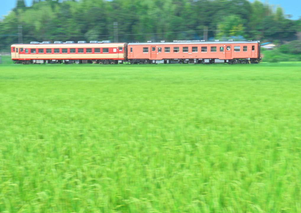 夏を駆ける #いすみ鉄道#