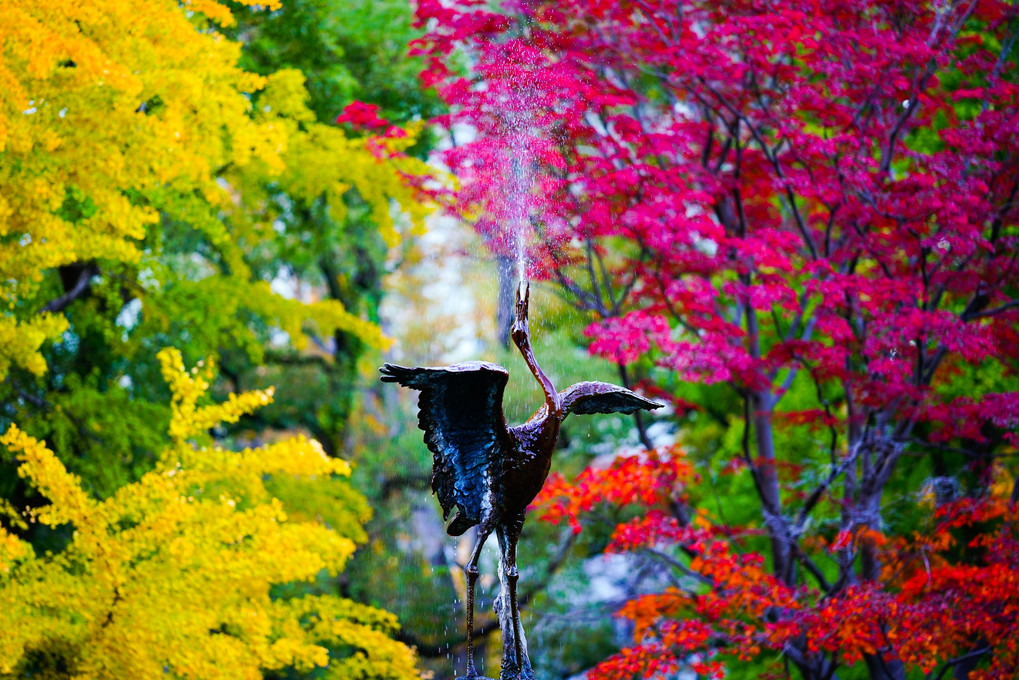 日比谷公園の秋