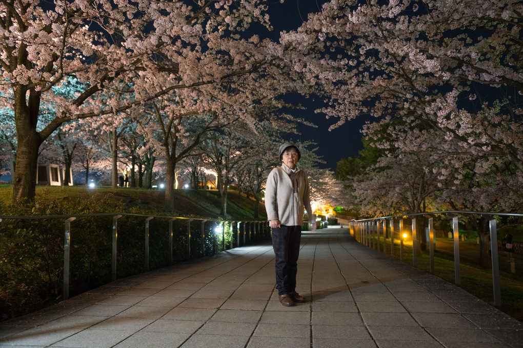 夜桜