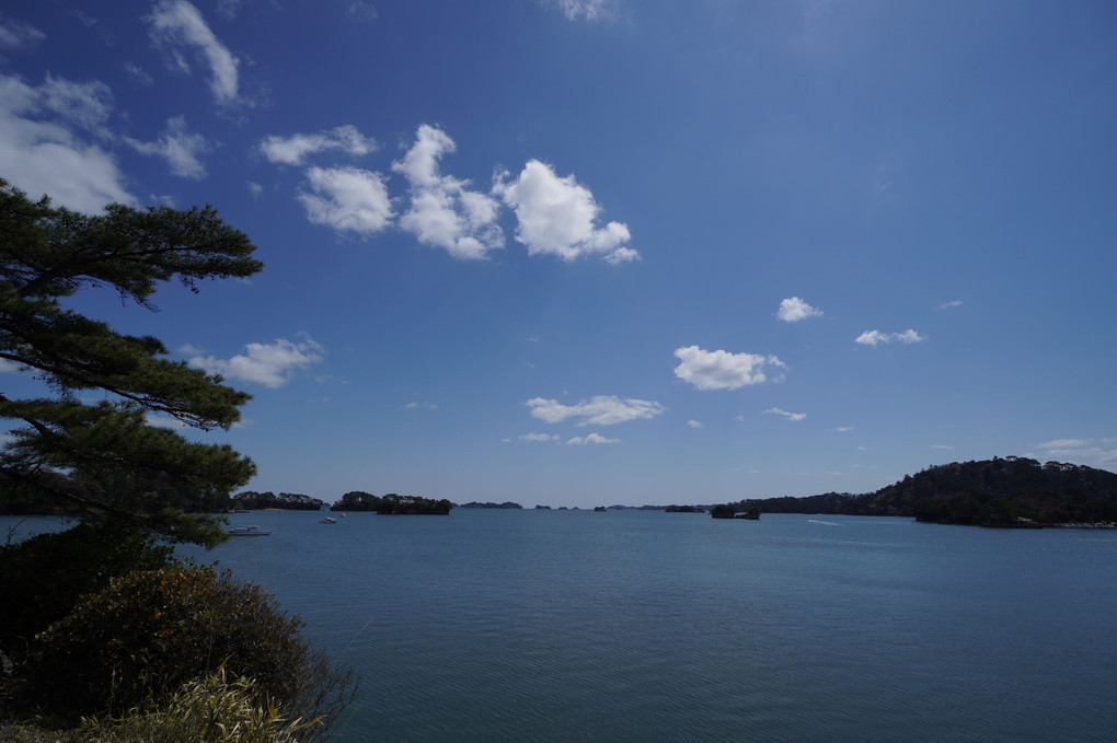 初めての松島