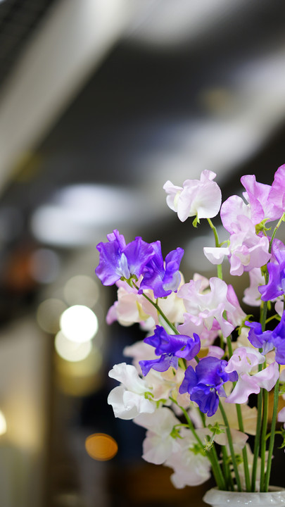 αｃａｆé体験会～室内でお花を印象的に撮る～大阪