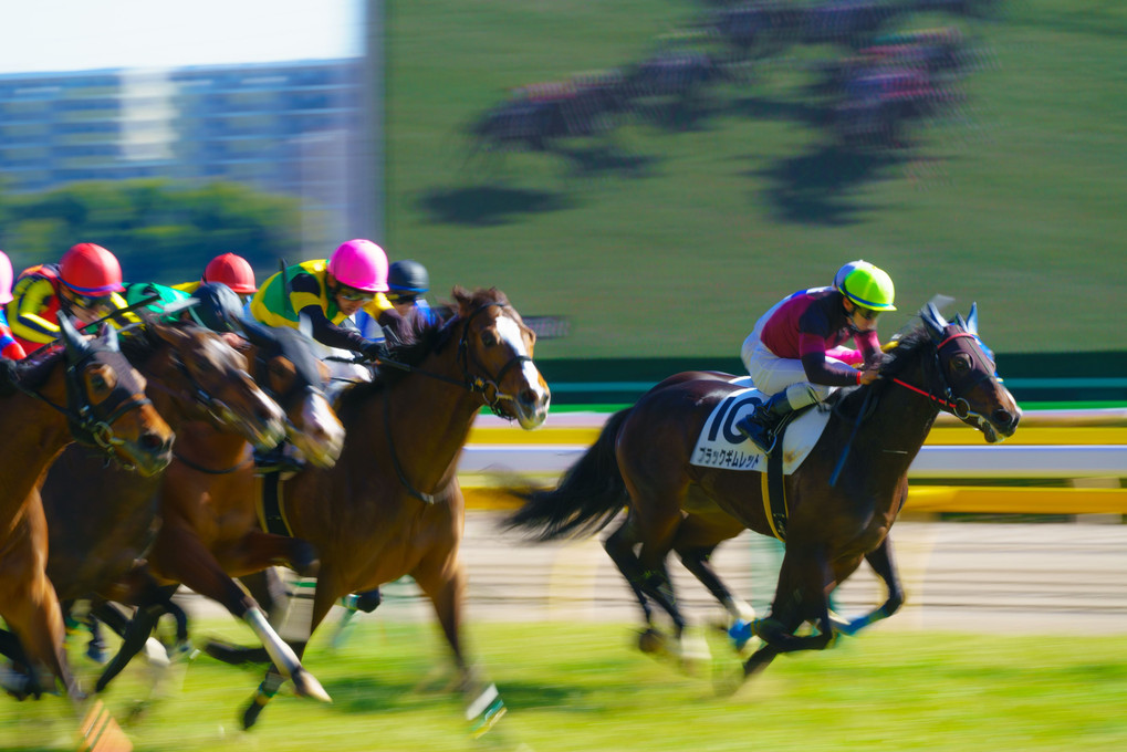 駆け抜ける　〜新春競馬撮影会〜