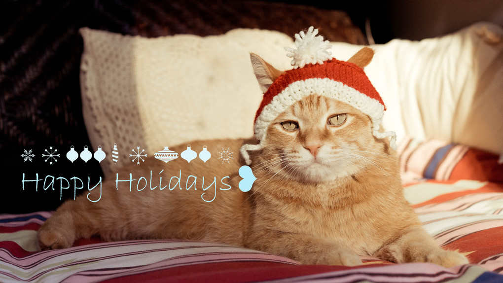 Happy Holidays♪