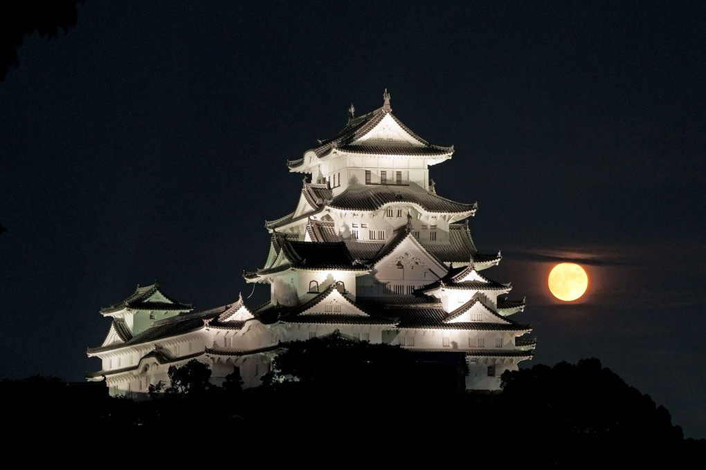 姫路城夜景