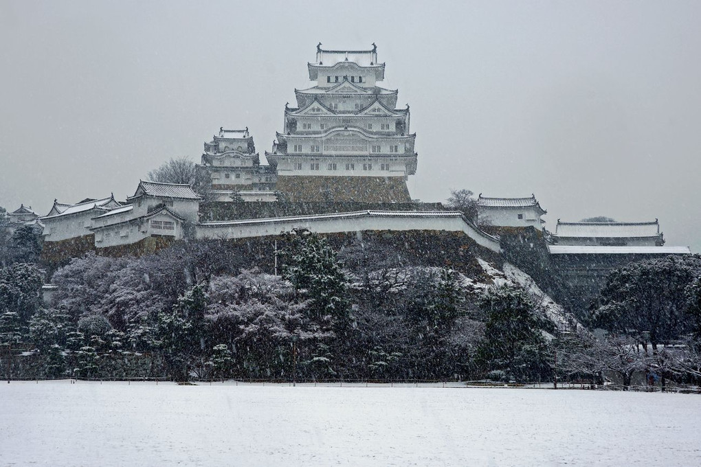 今朝の姫路城