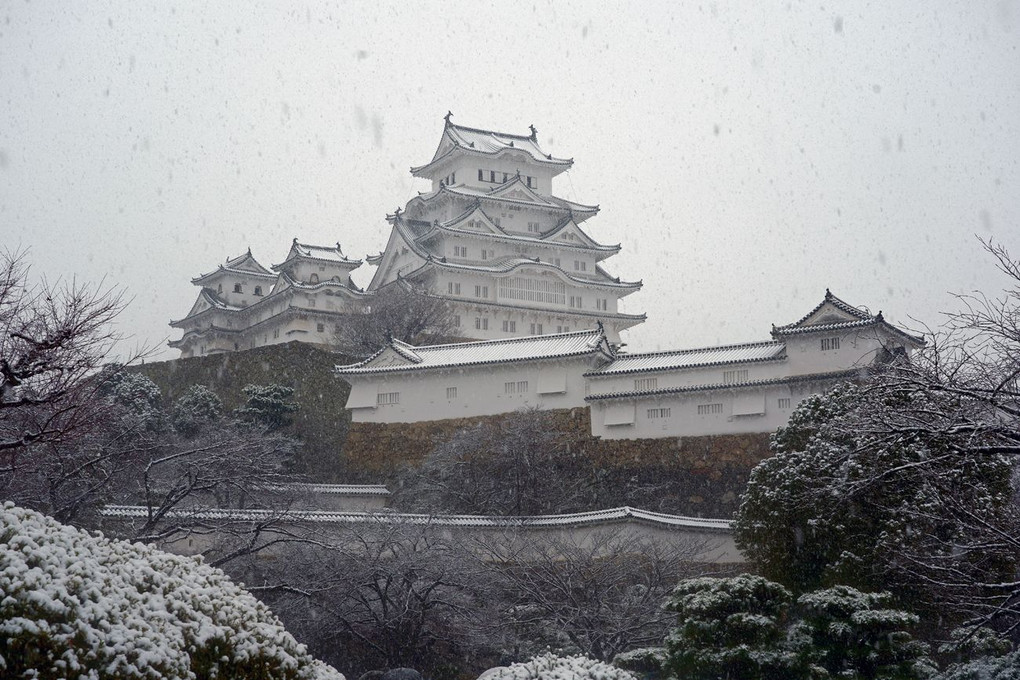 今朝の姫路城