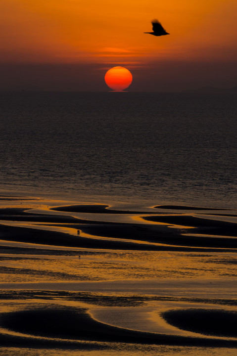 渚のだるま夕陽