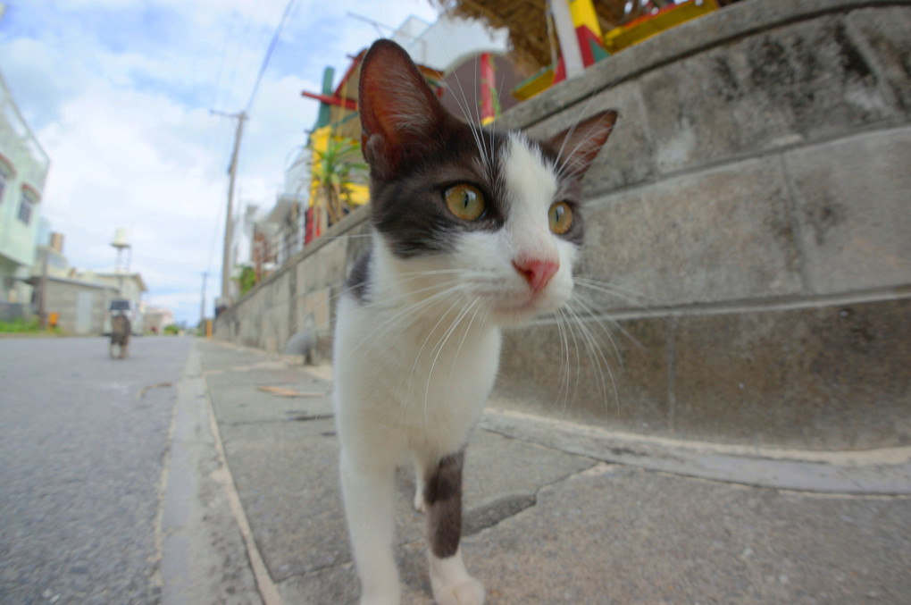 見つめるその先に