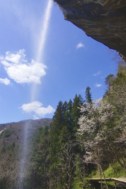 八坂村の大滝