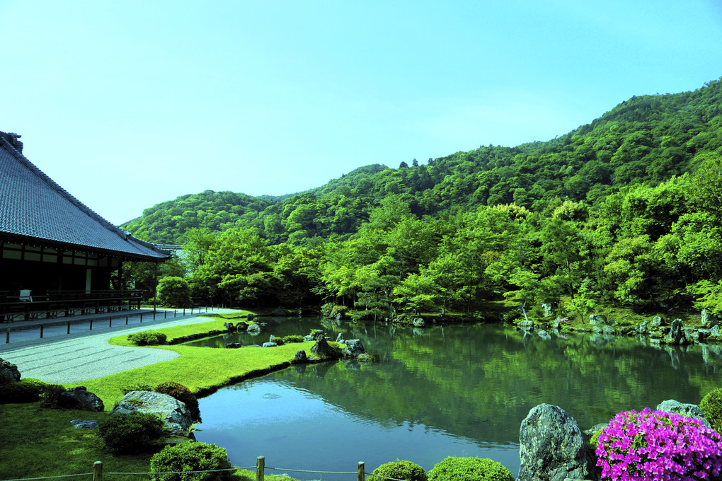 新緑の京都へ おこしやす～♪