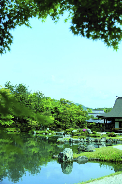 新緑の京都へ おこしやす～♪