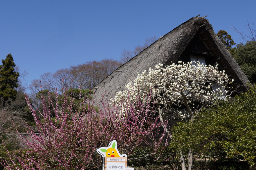 東山植物園