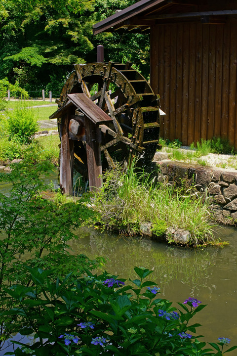 東山植物園の水車