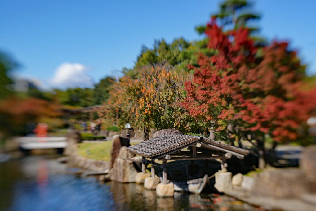 徳川園の秋