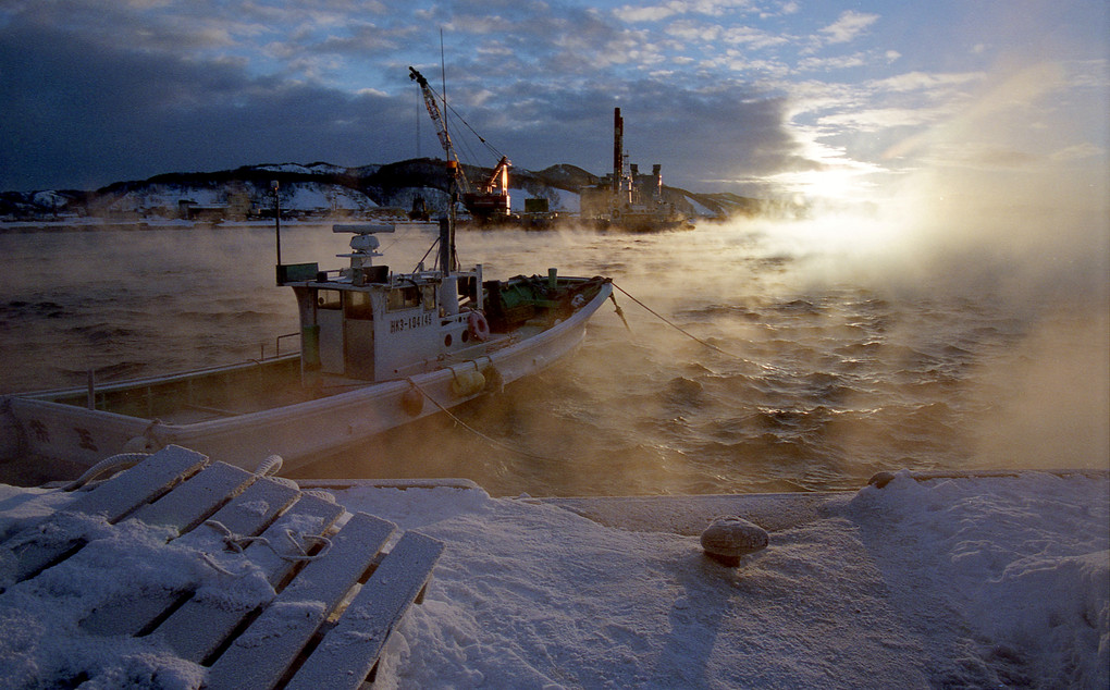 凍える港の朝