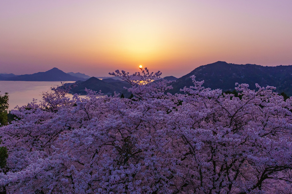 瀬戸の朝